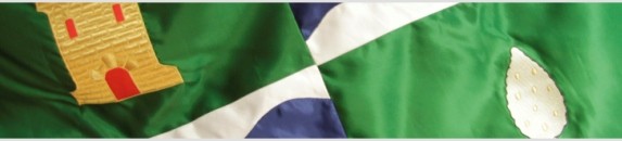 I Feria de la Cerveza Artesanal de Mequinenza.