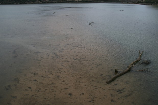 Lodos Segre