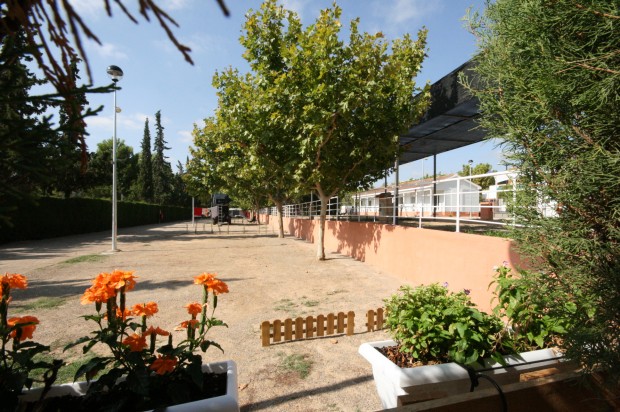 Camping Octogesa