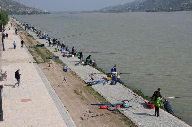 Campeonato de Aragón de Pesca Infantil y Juvenil disputado en Mequinenza