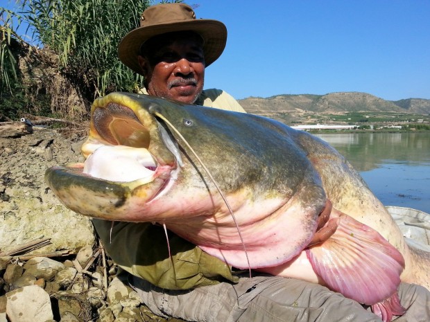 Dos ‘Marines’ retirados capturan en pocas horas dos siluros de gran tamaño