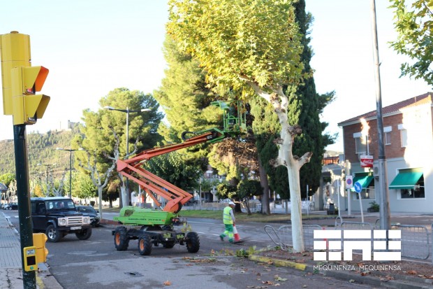 Saneamiento pinos