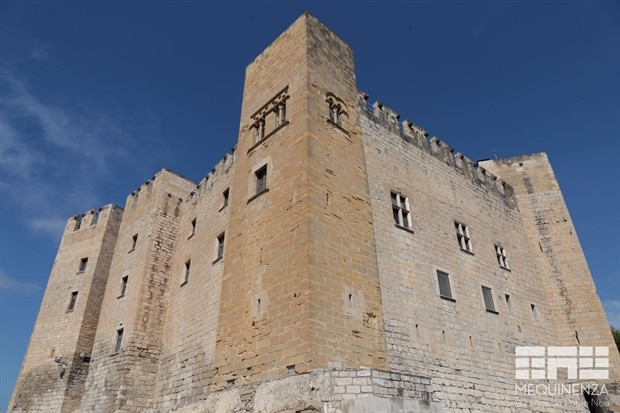 Visitas Castillo